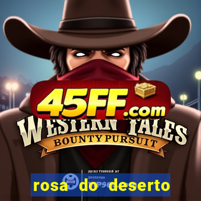 rosa do deserto lilac frost